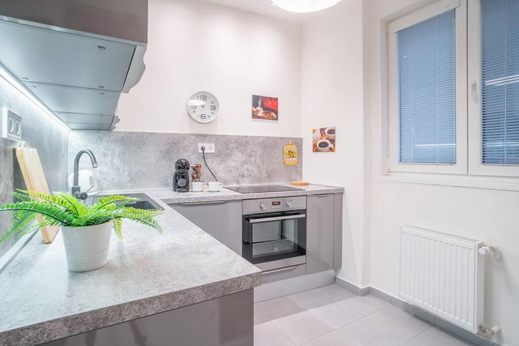 Sukromny Staromestsky Apartman V Uzasnej Lokalite/Cozy Old-Town Apartment In A Great Neighborhood Братислава Екстер'єр фото